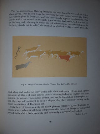 BUSHMAN ART Rock Paintings of South-West Africa Based on the Photographic Material Collected by Reinhard Maack