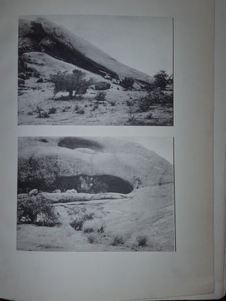 BUSHMAN ART Rock Paintings of South-West Africa Based on the Photographic Material Collected by Reinhard Maack