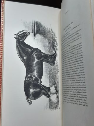 THE OLD ENGLISH WAR-HORSE Or the Great Horse as It Appears at Intervals in Contemporary Coins and Pictures During the Centuries of Its Development into the Shire-Horse.