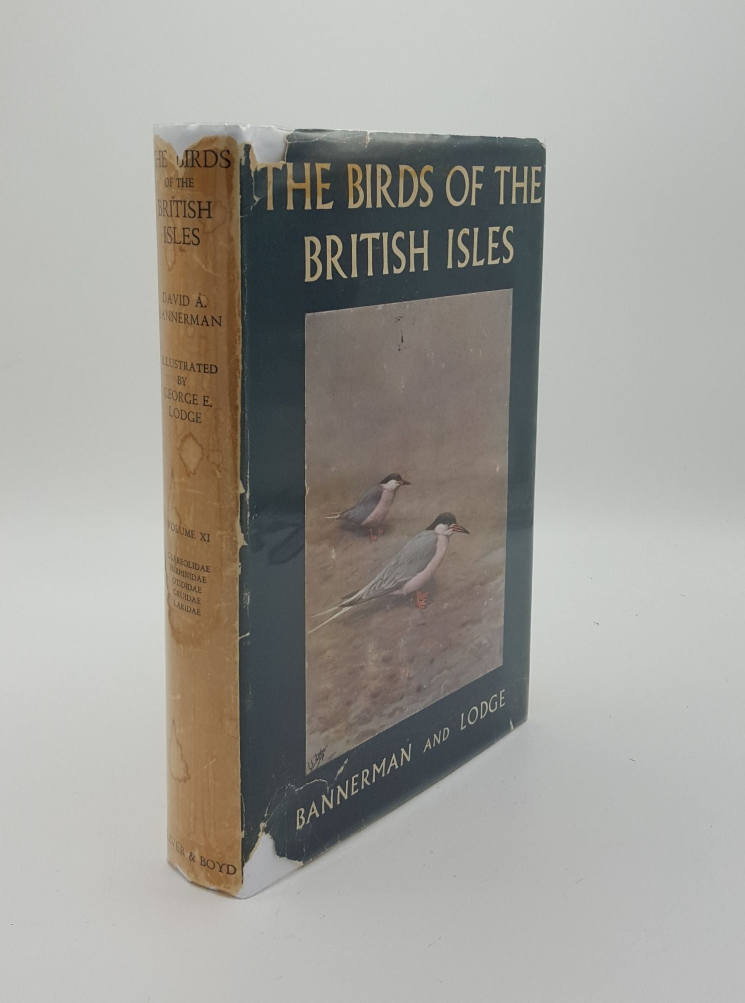 BANNERMAN David Armitage, LODGE George E. - The Birds of the British Isles Volume XI
