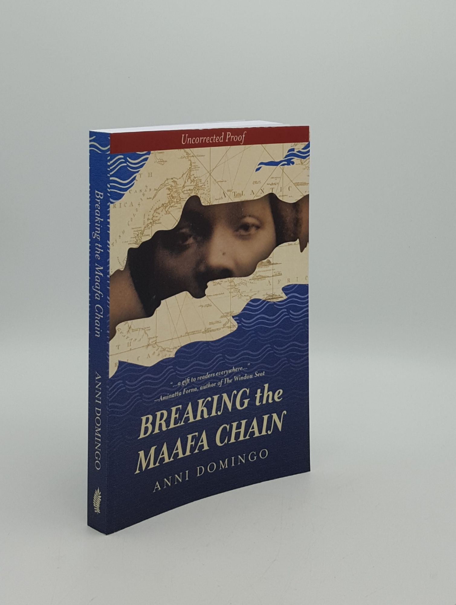 DOMINGO Anni - Breaking the Maafa Chain