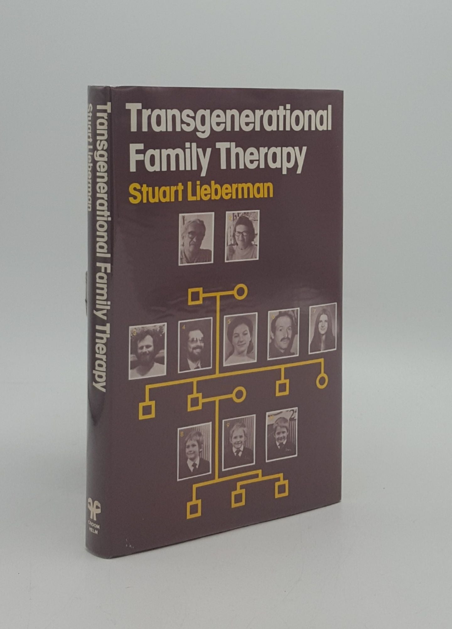 LIEBERMAN Stuart - Transgenerational Family Therapy