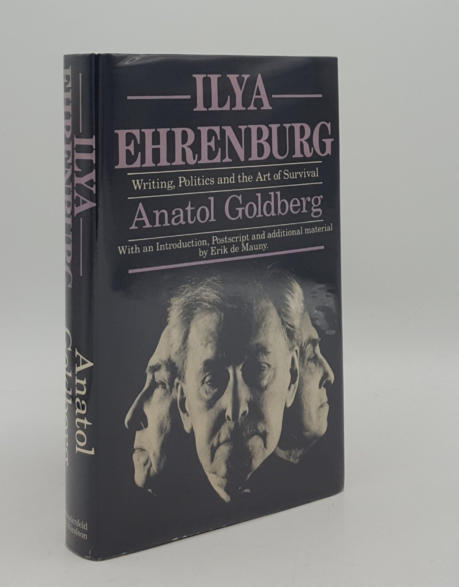 GOLDBERG Anatol - Ilya Ehrenburg Writing Politics and the Art of Survival