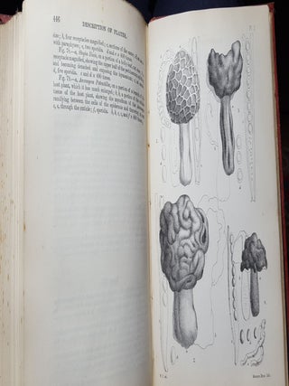 A MANUAL OF THE BRITISH DISCOMYCETES With Descriptions of all the Species of Fungi hitherto found in Britain Included in the Family and illustrations of the Genera.