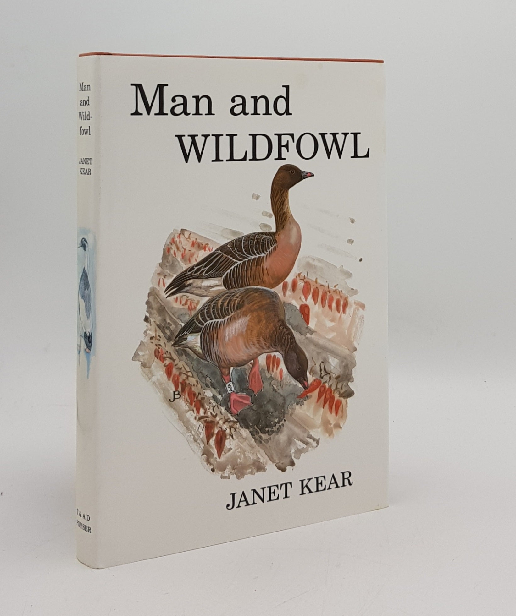 KEAR Janet - Man and Wildfowl