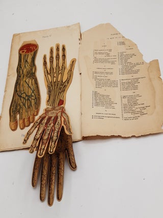 ATLAS ANATOMIQUE DE L'HOMME ET DE LA FEMME Anatomie et physiologie du corps humain.
