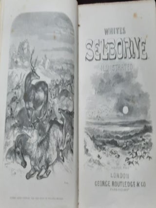THE NATURAL HISTORY OF SELBORNE.