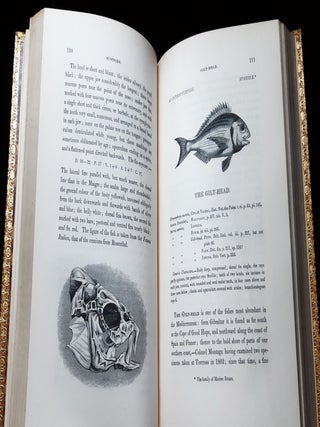A HISTORY OF BRITISH FISHES In Two Volumes.