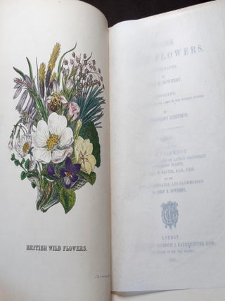 BRITISH WILD FLOWERS Re-Issue to which is Added a Supplement Containing 180 Figures of Lately Discovered Flowering Plants by John W. Salter and the Ferns Horsetails and Club-Mosses by John E. Sowerby.