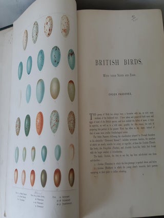 BRITISH BIRDS With Their Nests And Eggs In Six Volumes