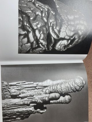 FRED KOCH Naturfotografie der 1920er/30er Jahre.