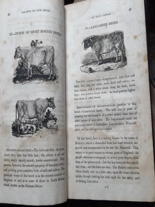 A TREATISE ON THE CHOICE BUYING AND GENERAL MANAGEMENT OF LIVE STOCK Comprising Delineations and Descriptions of the Principal Breeds of Black Cattle Sheep…