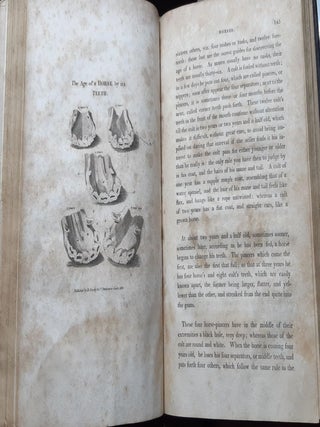 A TREATISE ON THE CHOICE BUYING AND GENERAL MANAGEMENT OF LIVE STOCK Comprising Delineations and Descriptions of the Principal Breeds of Black Cattle Sheep…