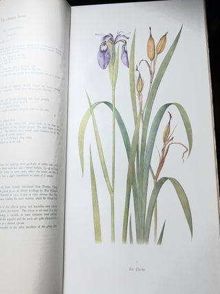 THE GENUS IRIS With Forty-Seven Coloured Drawings by F.H. Round One Coloured Plate of Seeds by Miss R.M. Cardew and Thirty Line Drawings by C.W. Johnson.