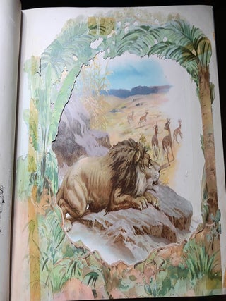 WILD ANIMAL STORIES A Panorama Picture Book.