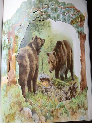 WILD ANIMAL STORIES A Panorama Picture Book.