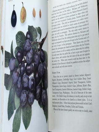 THE PLUMS OF ENGLAND Agriculture and Hortcultural Series.